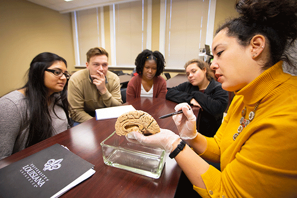 Dr. Erika Caramillo-Hatch and students studying zebrafish