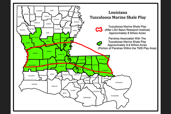 Louisiana Tuscaloosa Marine Shale Play