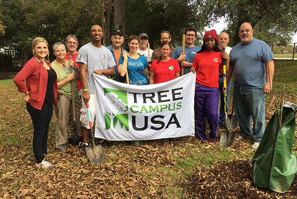 Tree Campus USA awards UL the Green Ribbon School designation