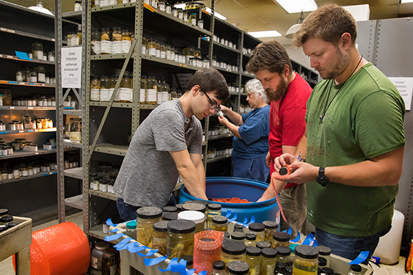  Technicians from the Smithsonian Institution's National Museum of Natural History pack specimens