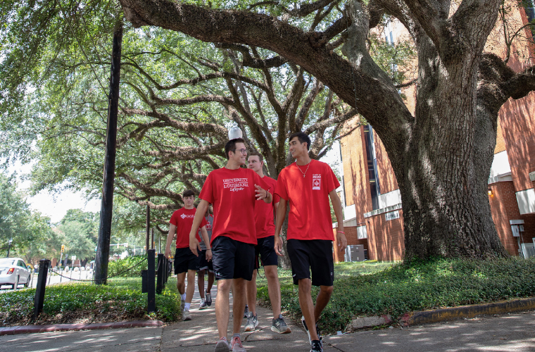 University of Louisiana at Lafayette students walking underneath a canopy of oak trees on campus
