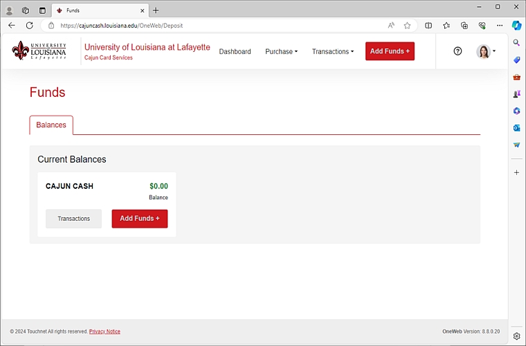 Screenshot of balances