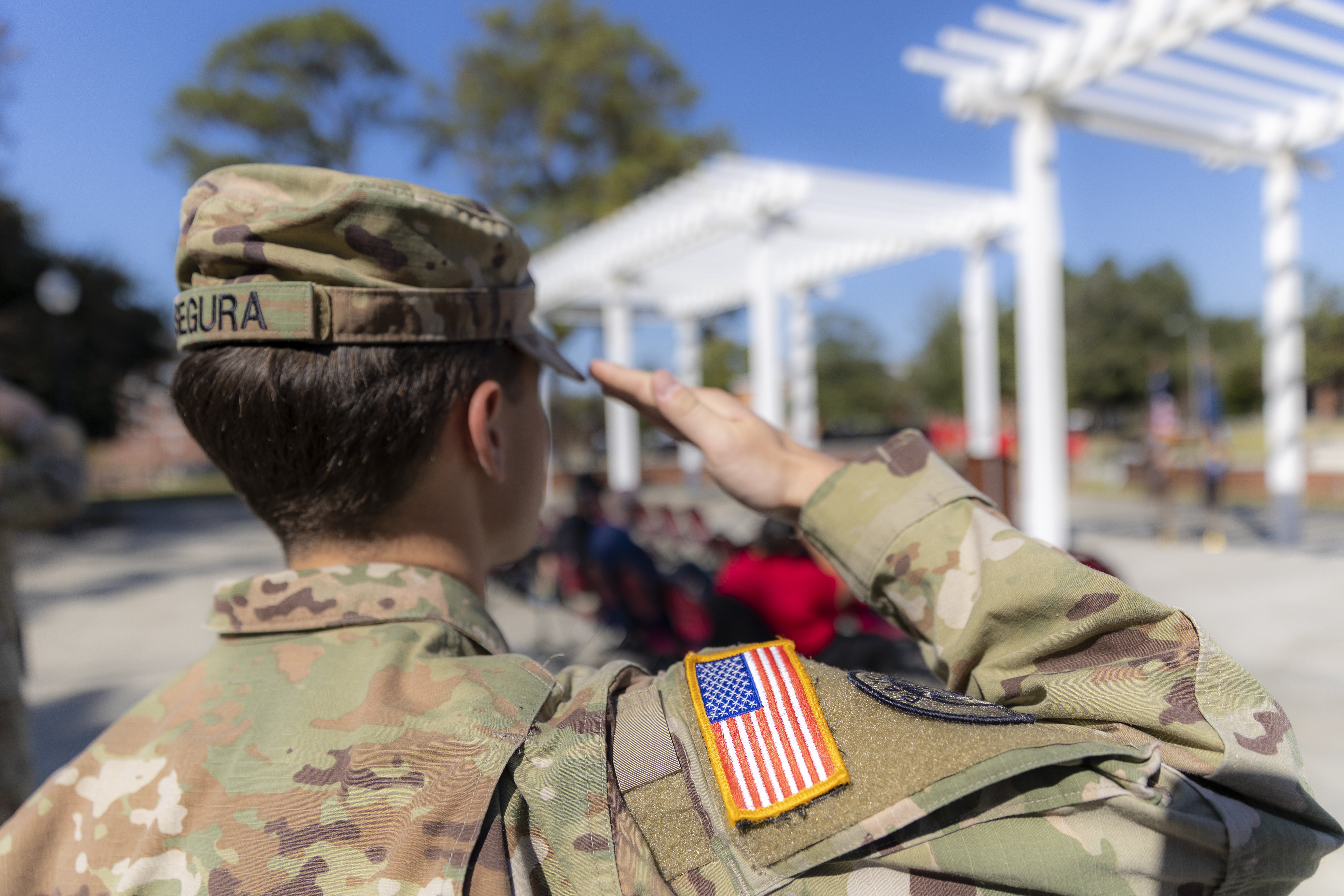 Person pictured shoulder-up from behind in veteran attire, saluting