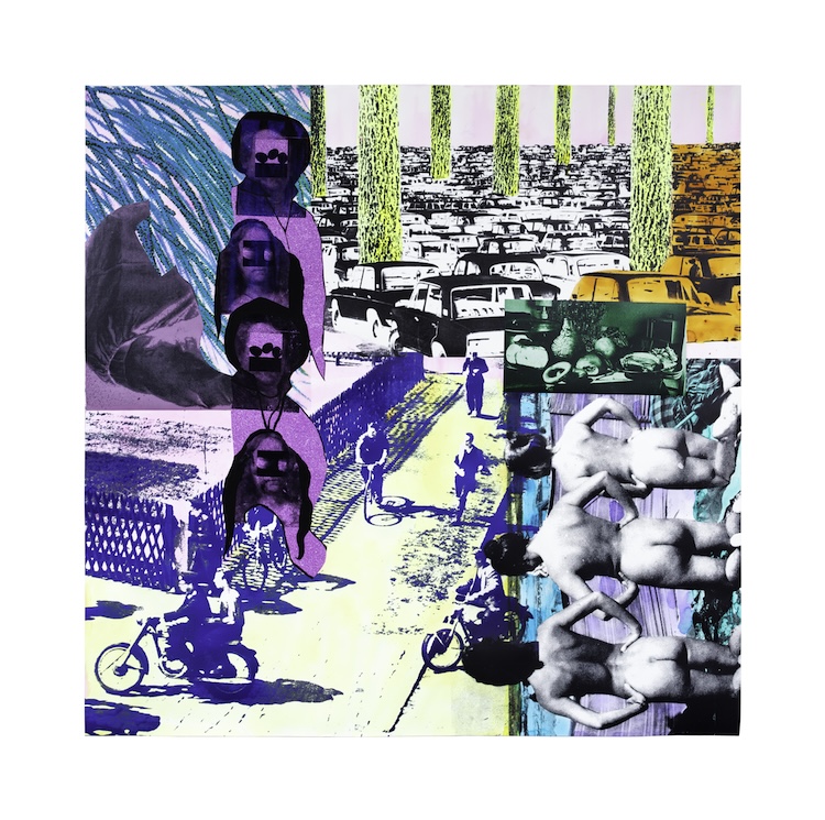 Rachel Libeskind collage titled Historical Landscape features black and white images overlaid with botanical prints.