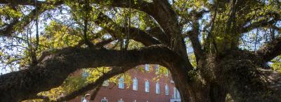 The University of Louisiana at Lafayette is the best university in Louisiana for getting a personal education.