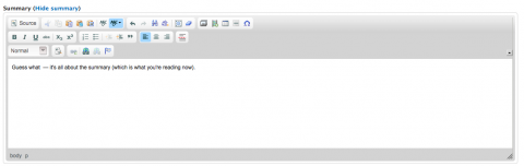 Screen shot of the Summary editor